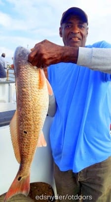 E. Mayes of Crosby TX took this nice 26inch slot red on shrimp