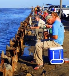 GREEDY HOLE anglers lining up  for their morning's feeding