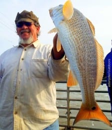 Houghton Lake Michigan angler Bruce McClellan nabbed this nice 22inch slot red on a Miss Nancy shrimp