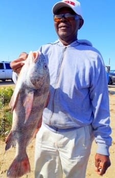 Houston angler Charles Davis hefts this nice keeper eater drum caught on shrimp