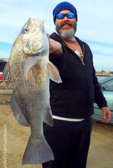 Houston angler Jason Osborne fished live shrimp for this nice black drum