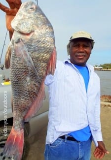 Houston angler Roger Thomas nabbed this nice drum while fishing live shrimp