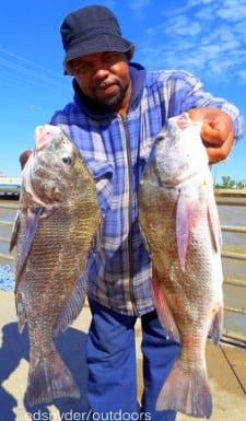 Kenneth Tucker of Houston caught these two nice keeper eater drum on shrimp