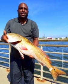 Kennith Lavan of Humble TX took this 36inch tagger bull red on mullet