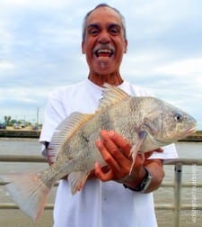 Kunai Hawaii Native Stan Peeples took this nice keeper eater drum on shrimp