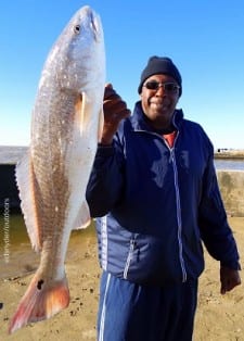 Lamar Lewis of Houston took this 28.12 inch tagger bull red on shrimp