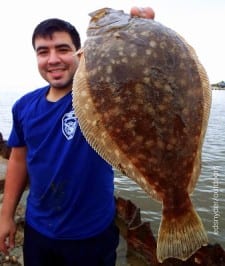 OZ of OZ Mechanics in Pasadena took this nice flounder on live shrimp