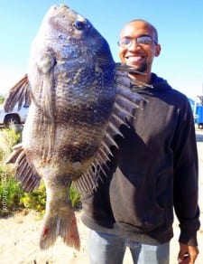 Richard Desmore of Houston landed this nice sheepshead he caught on shrimp