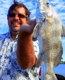 Ron Goodman JR. of Houston took this nice keeper eater drum on shrimp