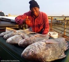 Thomas Mosley of Houston caught this nice 5 drum limit on Miss Nancy's shrimp