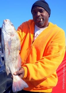 Tyreck Bowie of Houston nabbed this nice keeper eater drum on shrimp