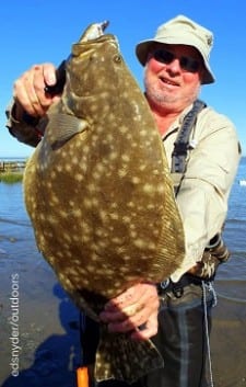 Wading Rollover Bay in the morning outgoing, Gilchrist angler Jerry Weir caught this really nice 24inch doormat flounder after dragging a rootbeer-chartreuse gulp