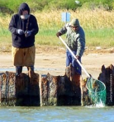 Fishin buds helping each other out with flounder catches