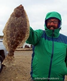 Houston angler John Harris fished berkely gulp to nab this nice flounder