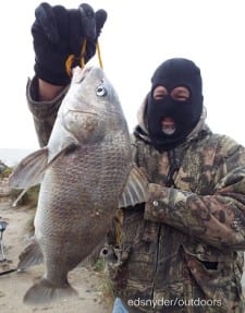 LaPorte TX angler Thomas Waldrip fished shrimp for this nice keeper eater drum