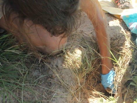 Joanie Steinhaus carefully removing each egg from the nest.