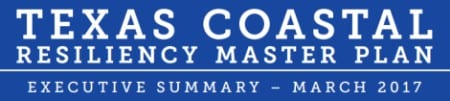 click image to read Executive Summary