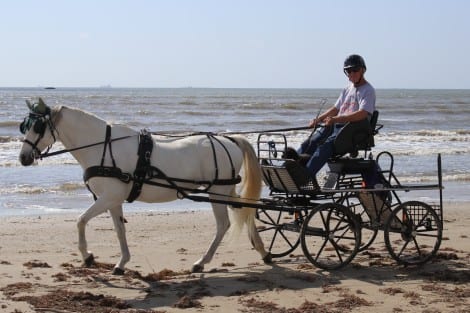 Another Ride Down the Beach