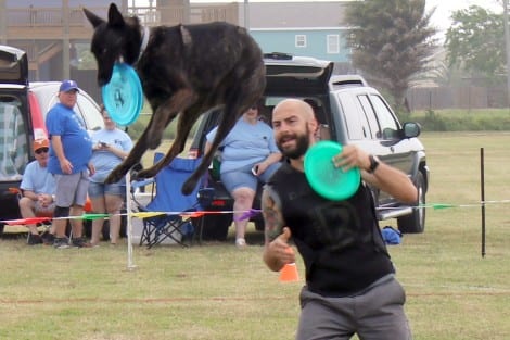 Disc Dogs Soar Again