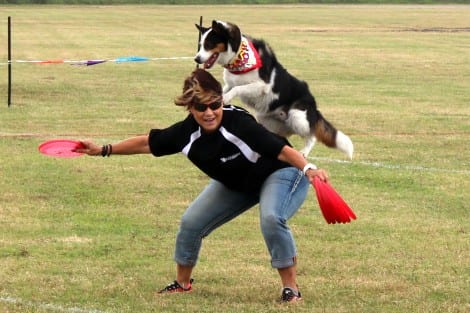 Disc Dogs Soar Again