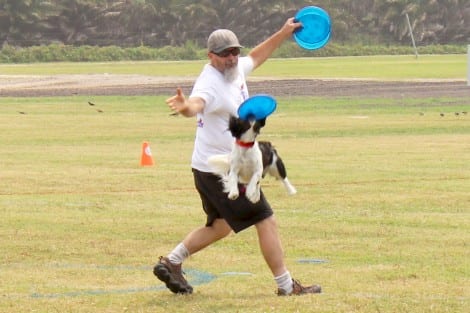 Disc Dogs Soar Again