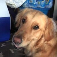 GO's Sand Bucket-Our Annual Christmas Journey