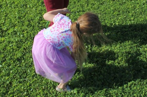 Easter Egg Hunt