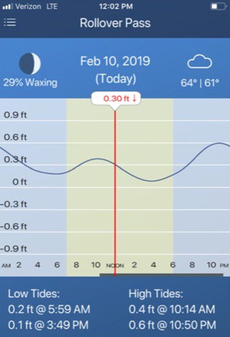 tide chart